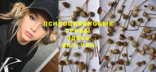 спиды Балахна